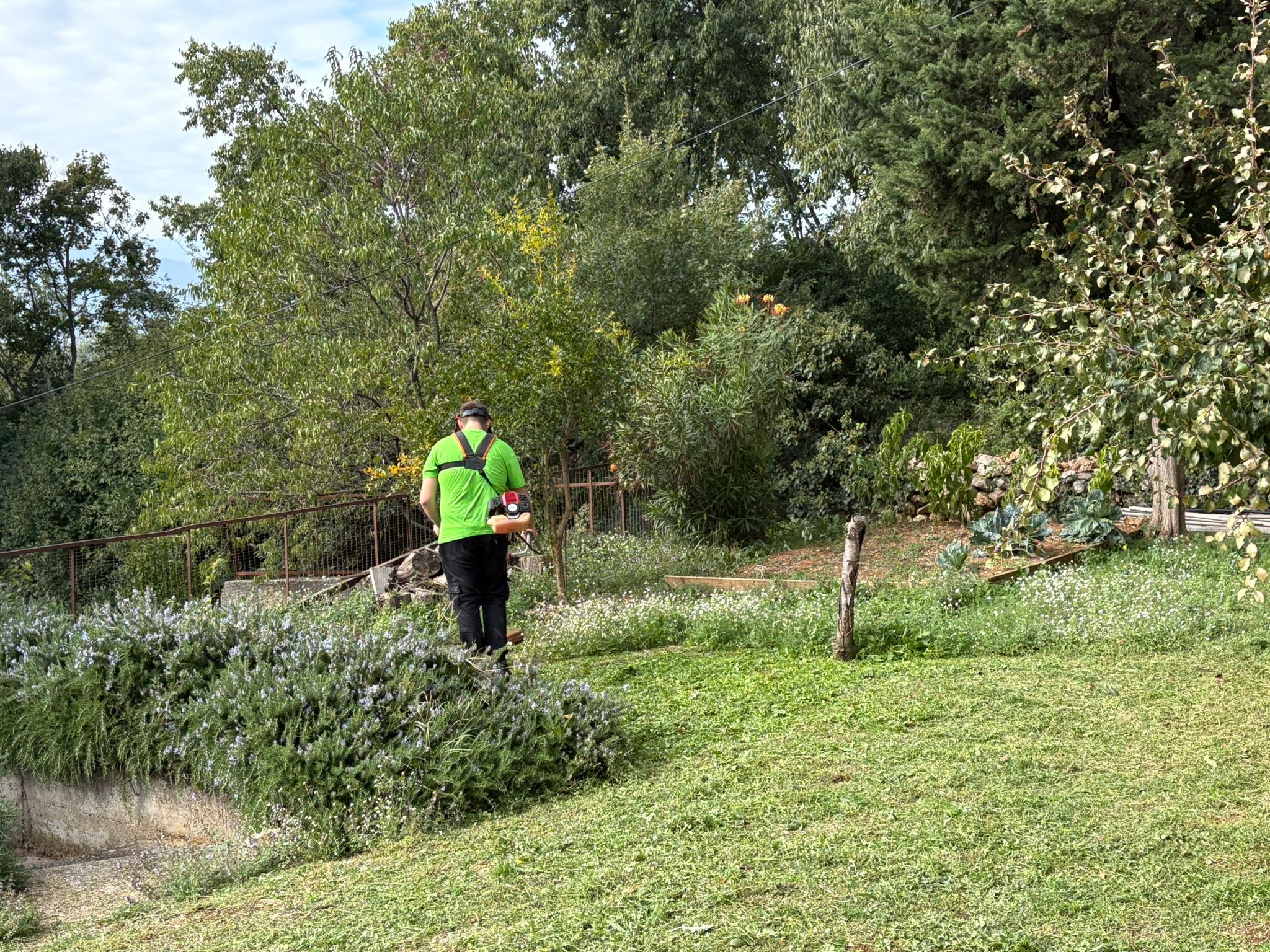 7aa42928-496b-4190-80ba-8f5d5ae8778a