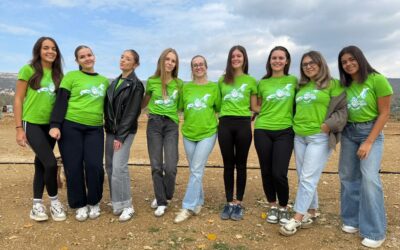 Volonterska akcija „72 sata bez kompromisa“ okupila brojne mlade volontere u Prološcu i Imotskoj krajini