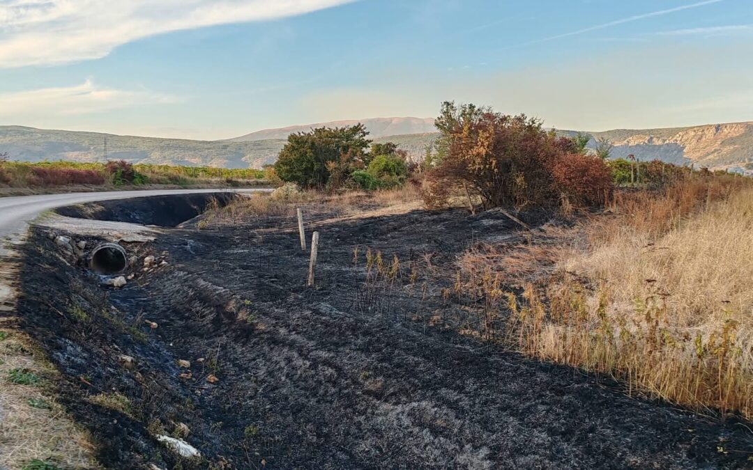 Požar u Prološcu stavljen pod nadzor, vatrogasci obranili ugrožene obiteljske kuće