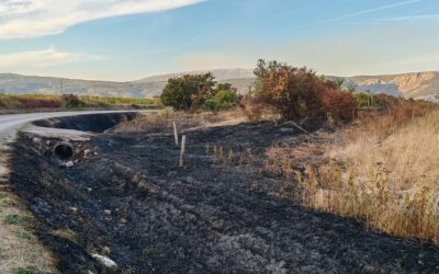 Požar u Prološcu stavljen pod nadzor, vatrogasci obranili ugrožene obiteljske kuće